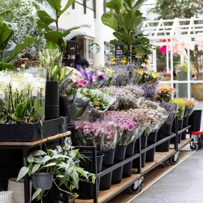 Stort udvalg af smukke blomster fra Gamst Blomst i Frederiksberg Centret. 